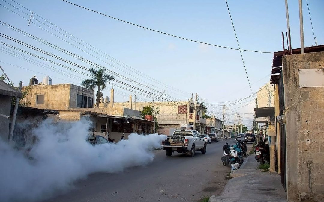 LA SSY REALIZARÁ CAMPAÑA DE FUMIGACIÓN PARA PREVENIR ENFERMEDADES.